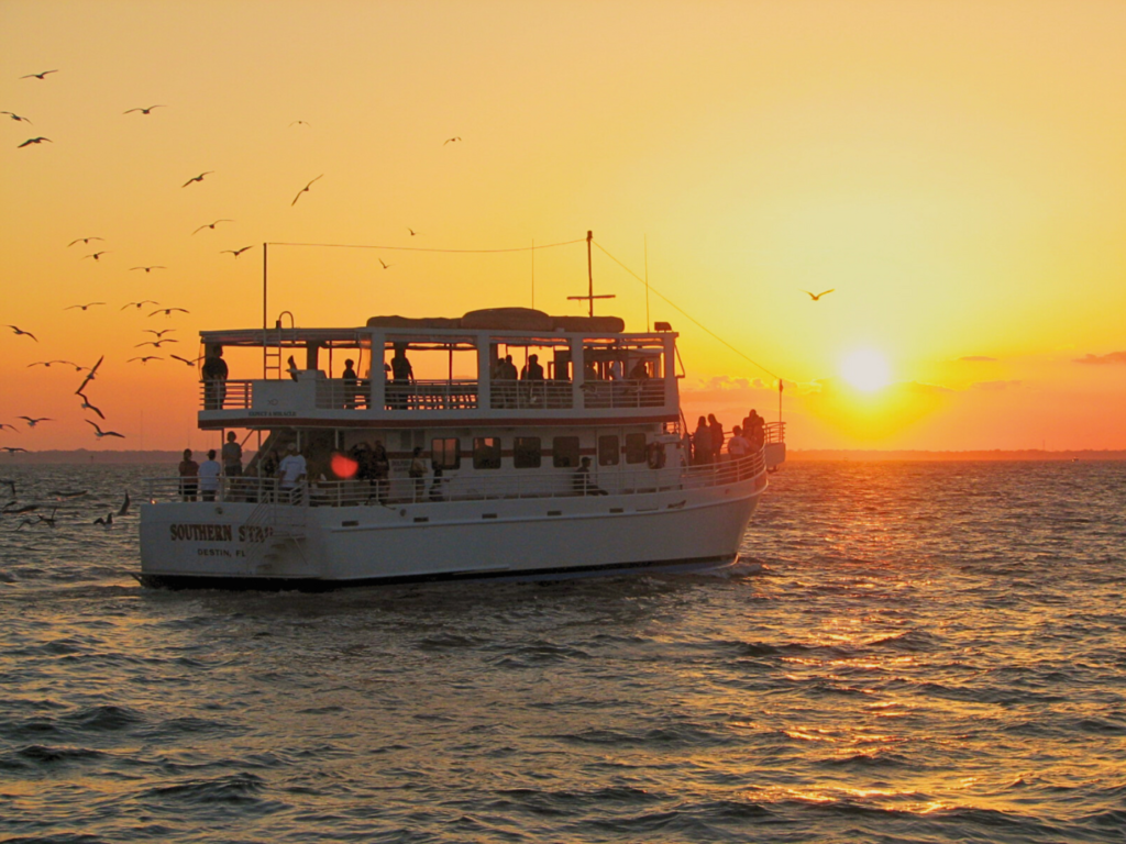 Dolphin Cruises – A Magical Experience on the Water