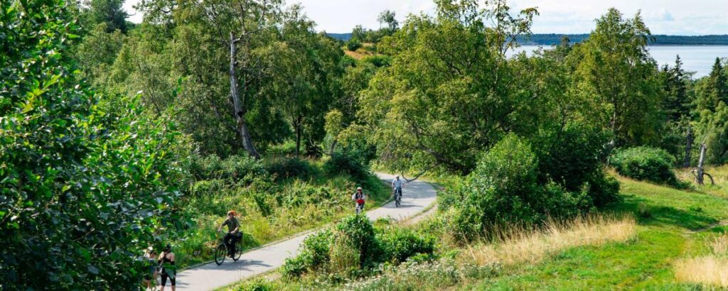 Kincaid Park Alaska Guide – Trails, Wildlife, Activities, Best Time to Visit Explore Kincaid Park in Anchorage, Alaska. Learn about its trails, wildlife, biking routes, winter sports, and best things to do. A complete travel guide with tips, photos, and visitor information.